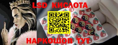 гидра Нальчик