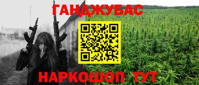 гидра Нальчик