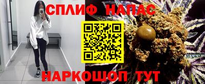 гидра Нальчик