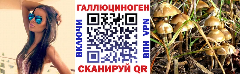 где найти наркотики  Салават  OMG онион  Галлюциногенные грибы прущие грибы 